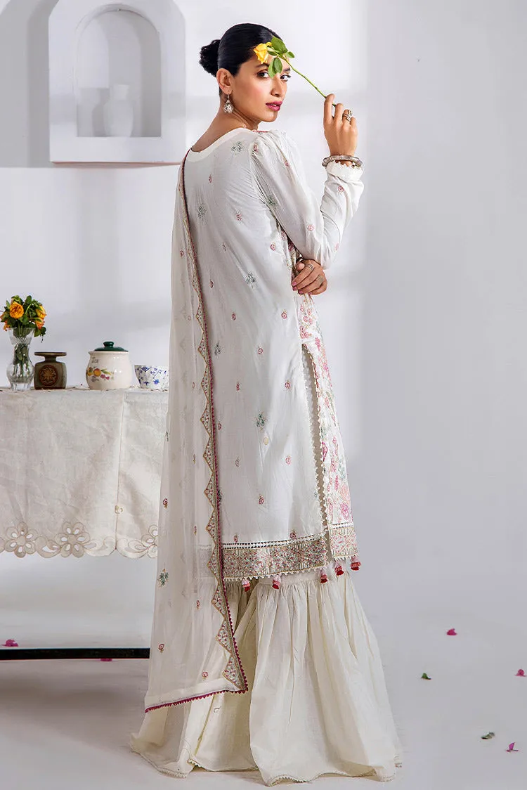 Adans Libas - Gull Premium Embroidered Collection - 5248