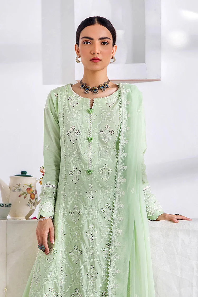 Adans Libas - Gull Premium Embroidered Collection - 5249