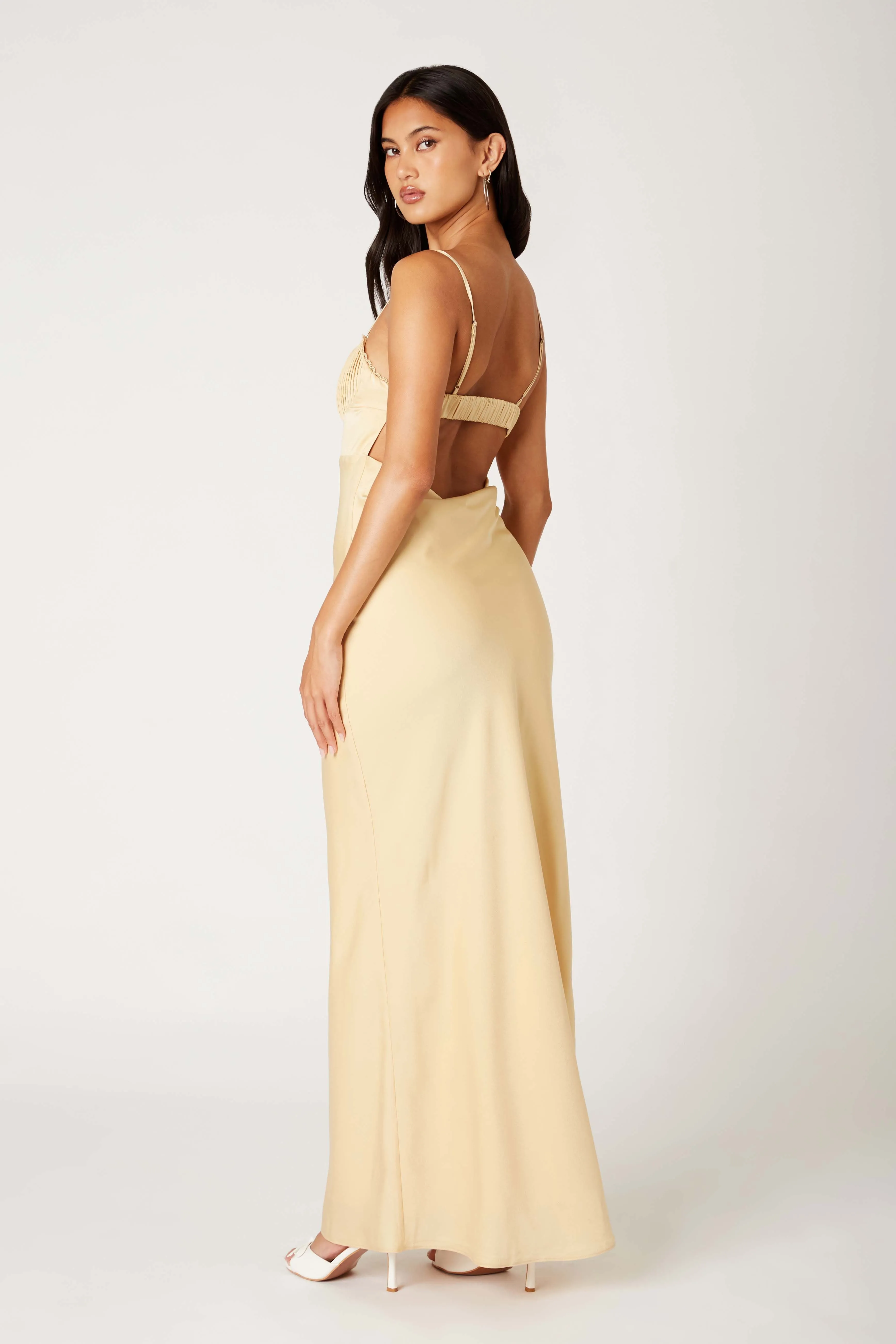 Belle of the Ball Maxi Dress