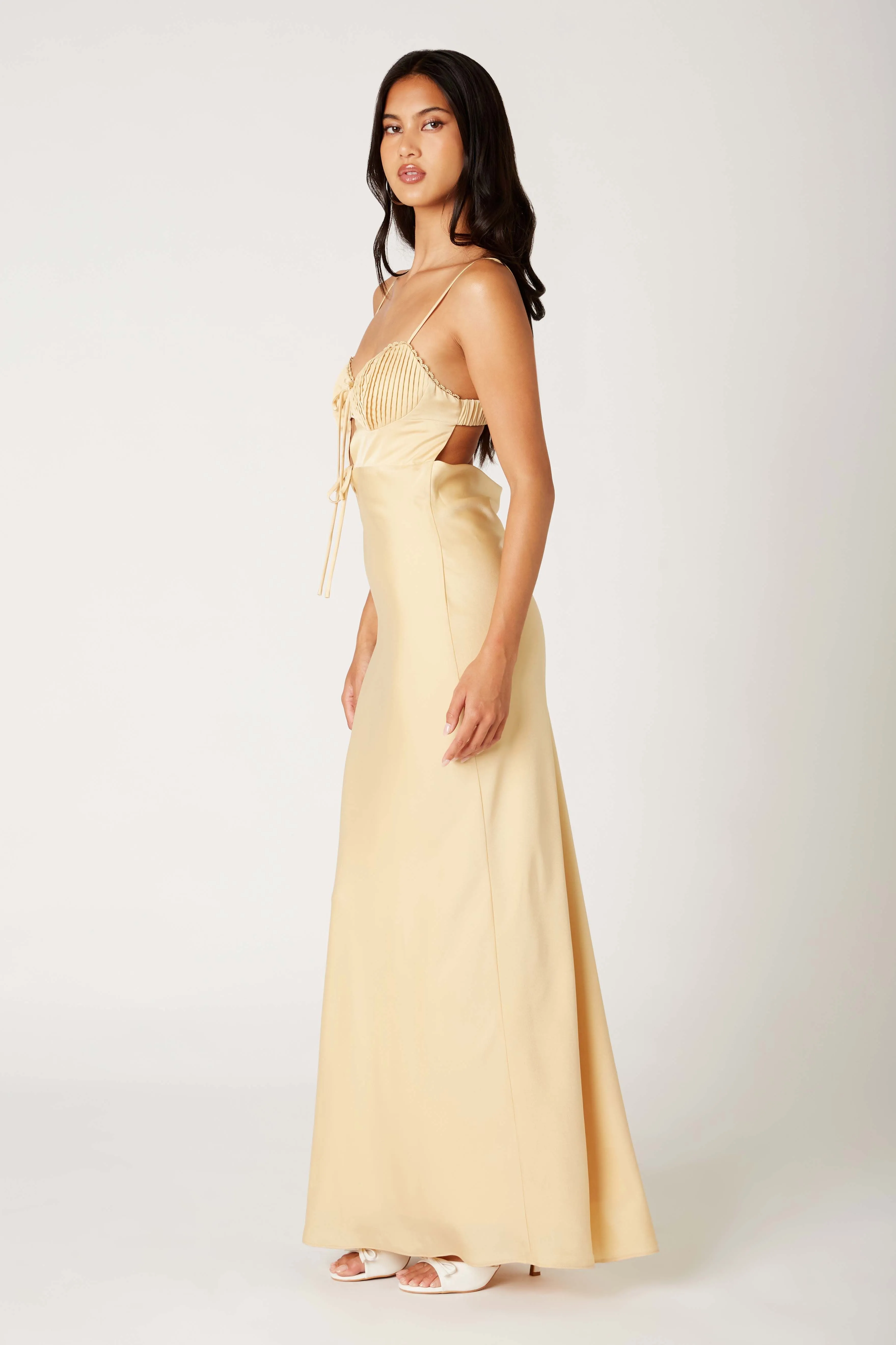 Belle of the Ball Maxi Dress